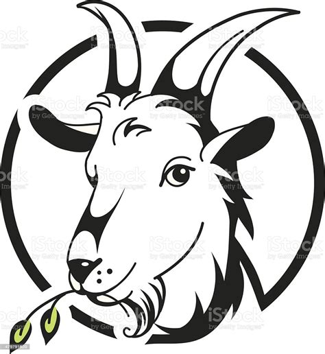 Head Of Goat On White Background Stock Illustration