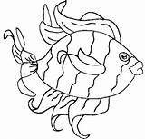 Archerfish sketch template