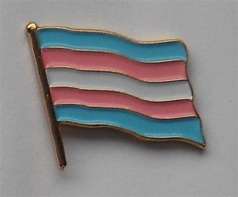 Asexual Pride Flag Enamel Pin Badge Uk Kitchen And Home