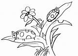 Ladybug Coloring Print Pages Color Cycle Life Return sketch template