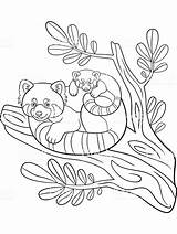 Coloring Pages Panda Choose Board Bear Gaddynippercrayons sketch template