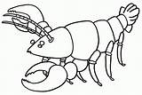 Lobster Langostas Colorear Crawfish Paginas Webstockreview Clipground Preschoolcrafts sketch template