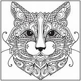 Majestic Animals Coloring Collection Search Google sketch template