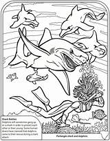 Doverpublications Dover Sharks sketch template