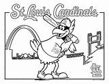 Louis Cardinals Continue Stlmotherhood sketch template