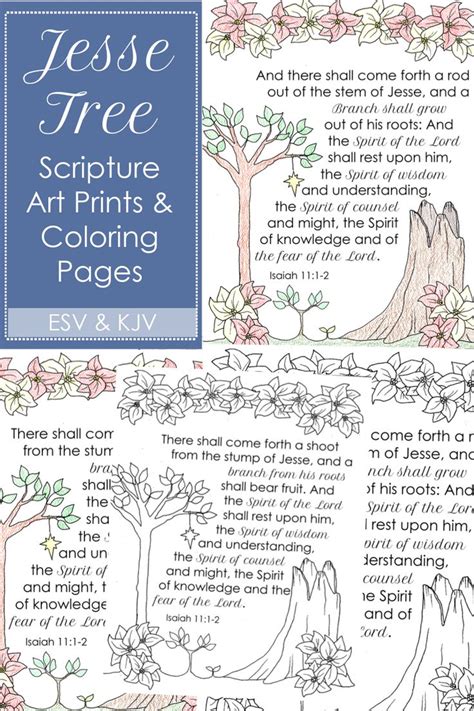 jesse tree scripture printable poster coloring page scripture