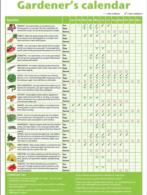 printable vegetable planting calendar uk