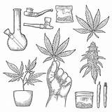 Marijuana Cannabis Illustrations Buds Cigarettes Lighter Engraving Istockphoto sketch template