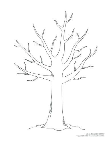 bare tree coloring page  getcoloringscom  printable colorings