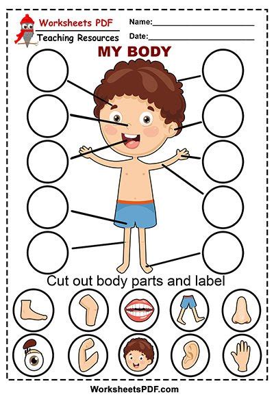 cut  body parts worksheets