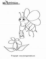 Coloring Bee Spring Pages Printable Seasonal Coloringprintables sketch template