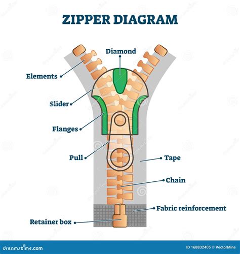 zipper diagram vector illustration detailed educational scheme  titles stock vector