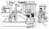Kebun Binatang Mewarnai Sketsa Kartun Keluarga Liburan Suasana Menggambar Putra Putri Bertamasya Bonbin Piknik Bagus Buas Berikut Tercinta sketch template