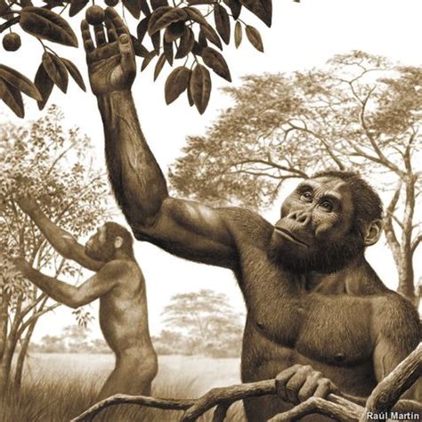 hominidos en la historia timeline timetoast timelines