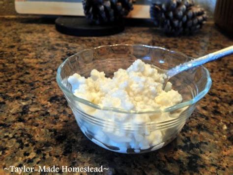 soured milk   cottage cheese real food mother