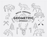 Geometric Animals Wildlife Rustic Outline Landscape Vector Clip Wild Animal Drawn Hand Eps Life Drawings Drawing Choose Board Origami Designs sketch template