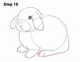 Bunny Lop Draw Holland Rabbit Step Drawing Body Line Use How2drawanimals Under Hind Curved Foot Don Guide Start sketch template