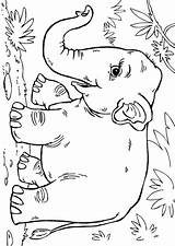 Coloring Elephant Asian Pages Colouring Printable Drawing Edupics Animals Sheets Jungle Animal Visit Books Choose Board sketch template