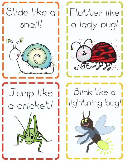 insects butterfly insects insect activities bugs