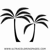 Palmera Página sketch template