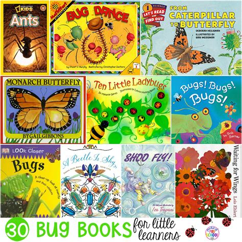 bug books   learners pocket  preschool