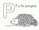 Porcupine Coloring Pages Getcoloringpages Printable sketch template