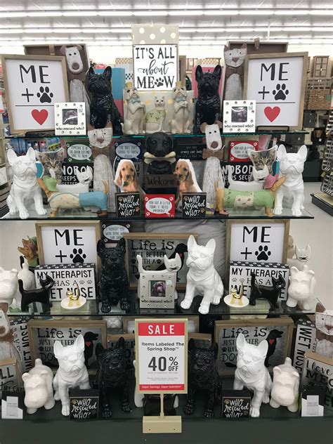 hobby lobby spring  dog room decor hobby lobby
