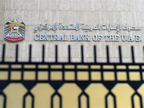 central bank  uae issues  anti money laundering guidelines