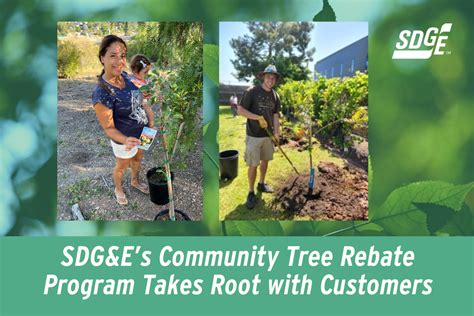 sdges community tree rebate program takes root  customers sdge