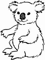Koala Coloring Bear Pages Animals Color Bears Loving Colouring Printable Line Drawing Kids Clipart Print Outline Luna Drawings Clipartbest Designlooter sketch template