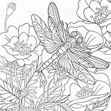 Dragonfly Insect Stylized sketch template