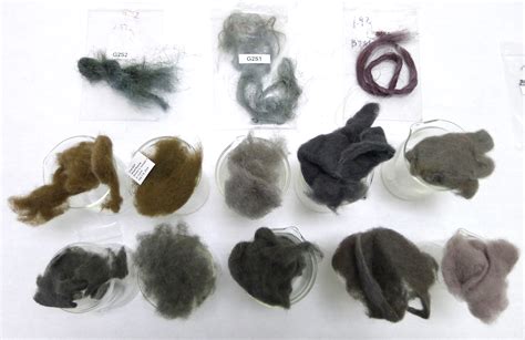 dyed wool fibers