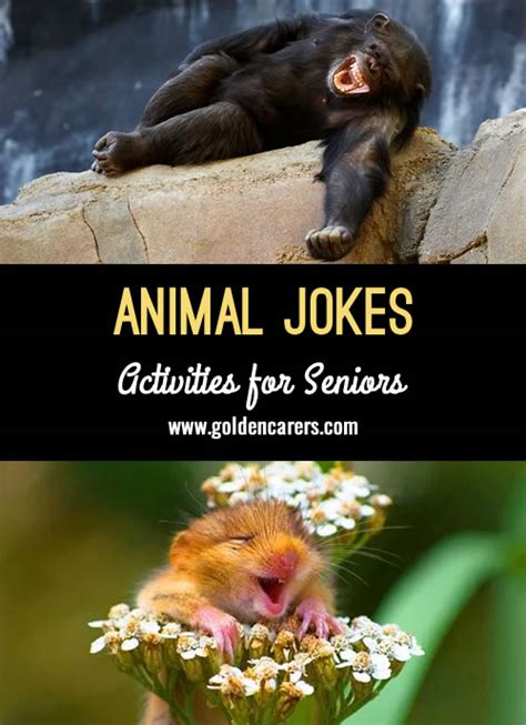 animal jokes