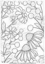 Coloring Wildflower sketch template