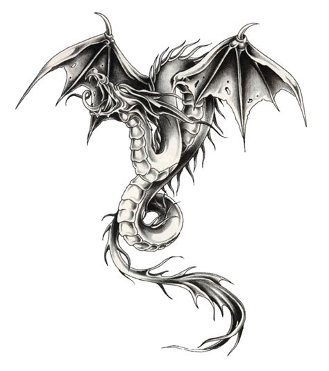 A Black And White Drawing Of A Dragon With Wings On Its Back Legs