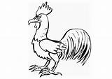 Rooster Coloring Comments Printable Pages Edupics Animals Large sketch template