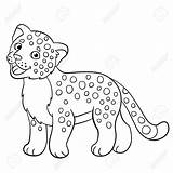 Jaguar Cartoon Drawing Coloring Pages Baby Cute sketch template