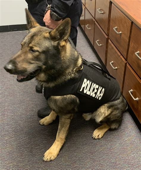 Glasgow Police Departments K9 Zeke Receives Donation Of Body Armor