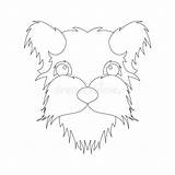 Fluffy Pomeranian sketch template
