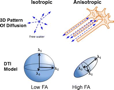 relationship  patterns  diffusion