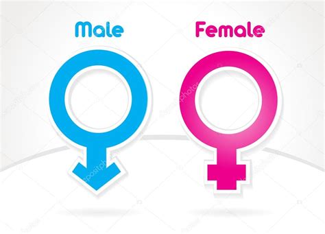 Male And Female Sex Symbol Vector — Stock Vector © Rikky18 33848521