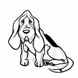 Hound Basset Dog Bloodhound Outline Clipartmag sketch template