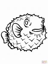Coloring Porcupine Fish Pages Kids Clipart Clipartbest sketch template