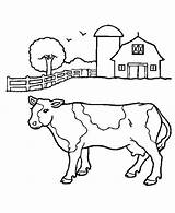 Coloring Cow Barn Pages Front Milk Cows Cattle Color Print Ox Farmers Musk Size Getcolorings Kids Netart sketch template