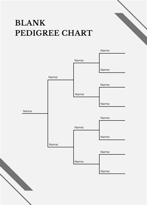generation pedigree chart  illustrator   templatenet