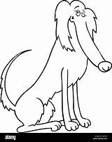 Setter Coloring Irish Cartoon Dog Alamy Stock Purebred Illustration Funny 1300px 41kb 1095 sketch template
