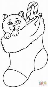 Stocking Coloring Christmas Pages Cat Printable Stockings Sock Kids Clipart Print Easy Color Colouring Socks Kitten Printables Disney Drawing Paper sketch template