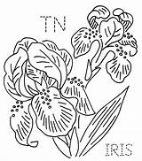 Iris Transfers Towel Turkeyfeathers Flic sketch template