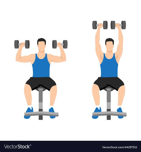 man  seated dumbbell overhead shoulder press vector image