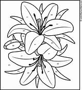 Painting Acrylic Coloring Pages Lily Angela Anderson Flower Glass Patterns Traceable Traceables Designs Paint Drawings Templates Stained Paintings Sherpa Landscape sketch template
